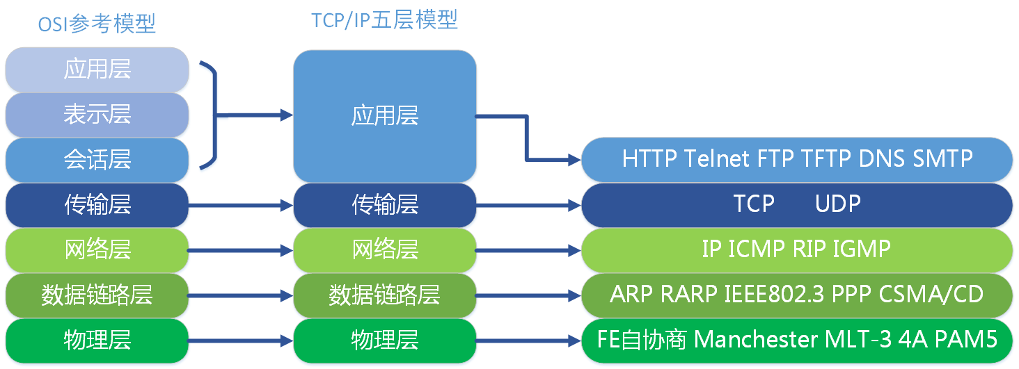 每层的协议